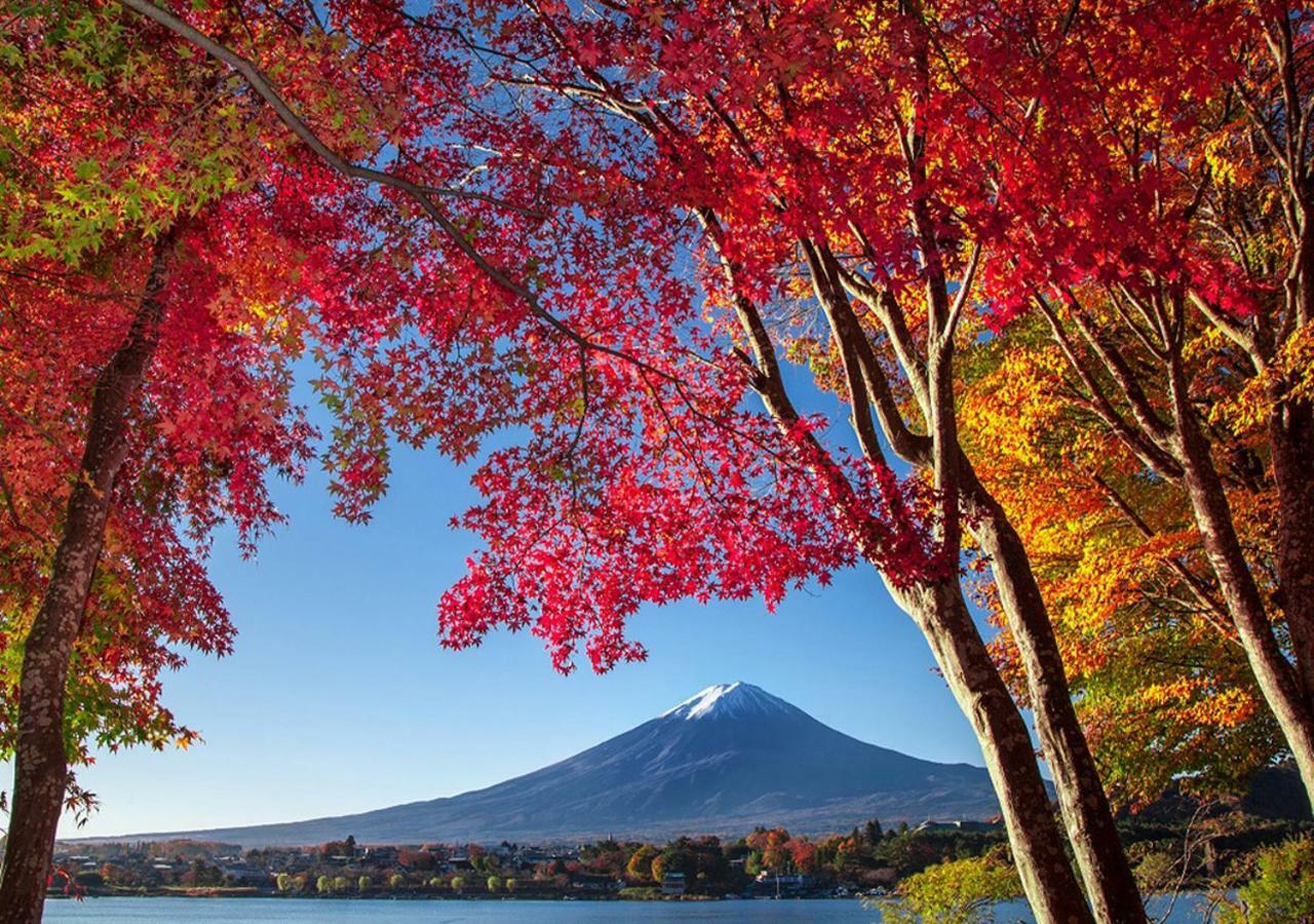 富士山金魚 Fujisan Kingyo Villa Fudzsikavagucsiko Kültér fotó